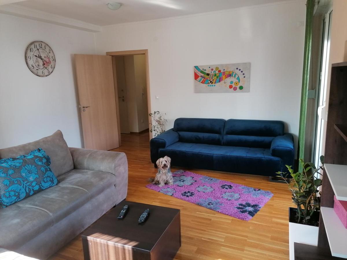 Apartment Shumice *