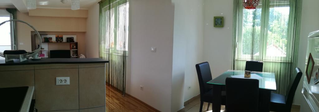 Shumice Apartment *